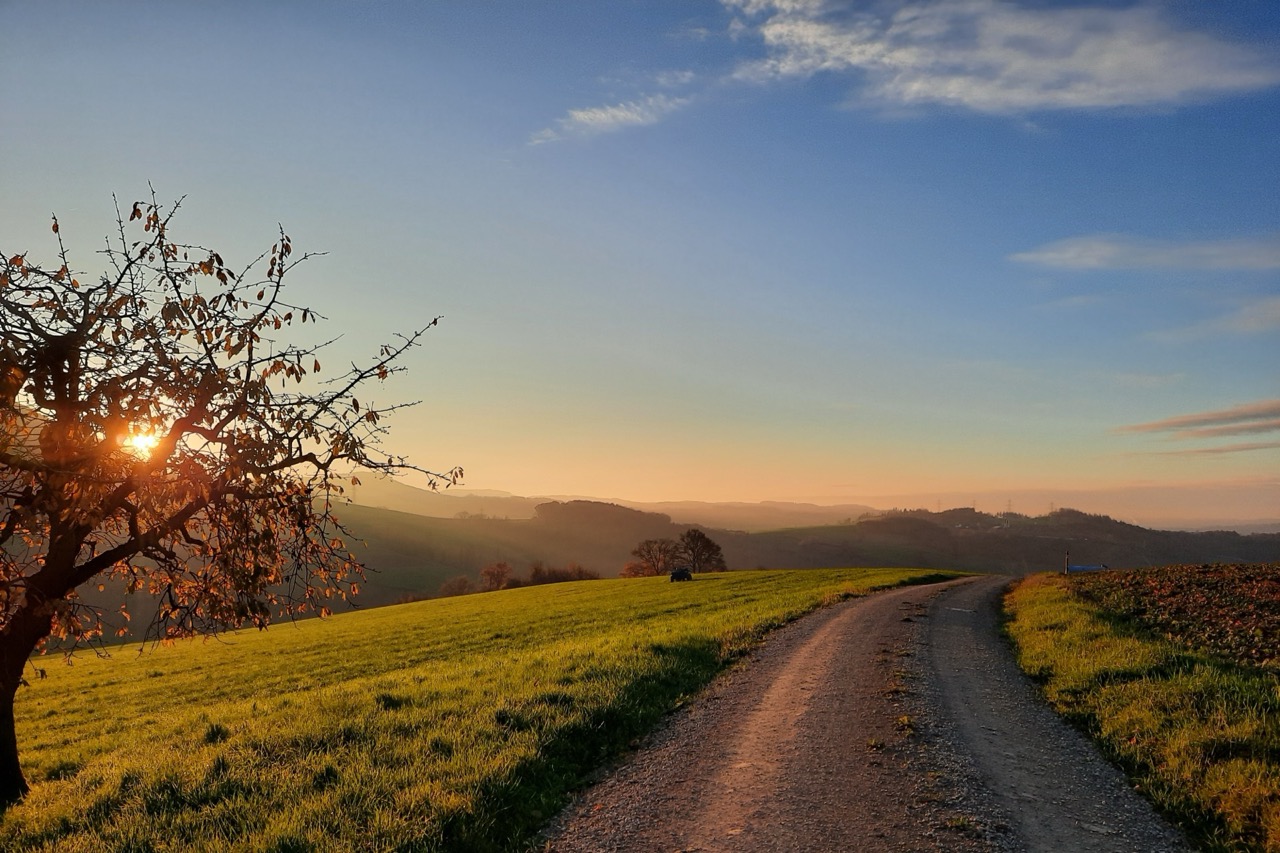 ADHS und Autismus Coaching